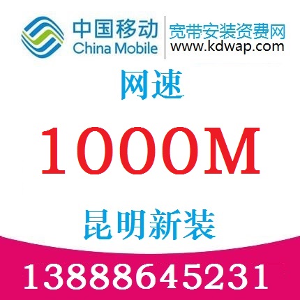 йƶ2021ʷ1000Mװ