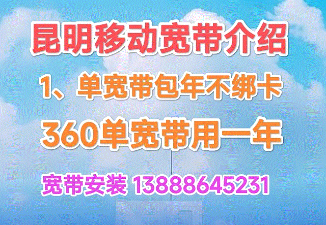 װļҺʵƶ360Ԫ ƶװײͱ